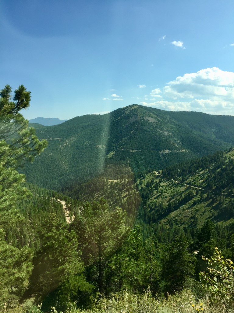 Post Image