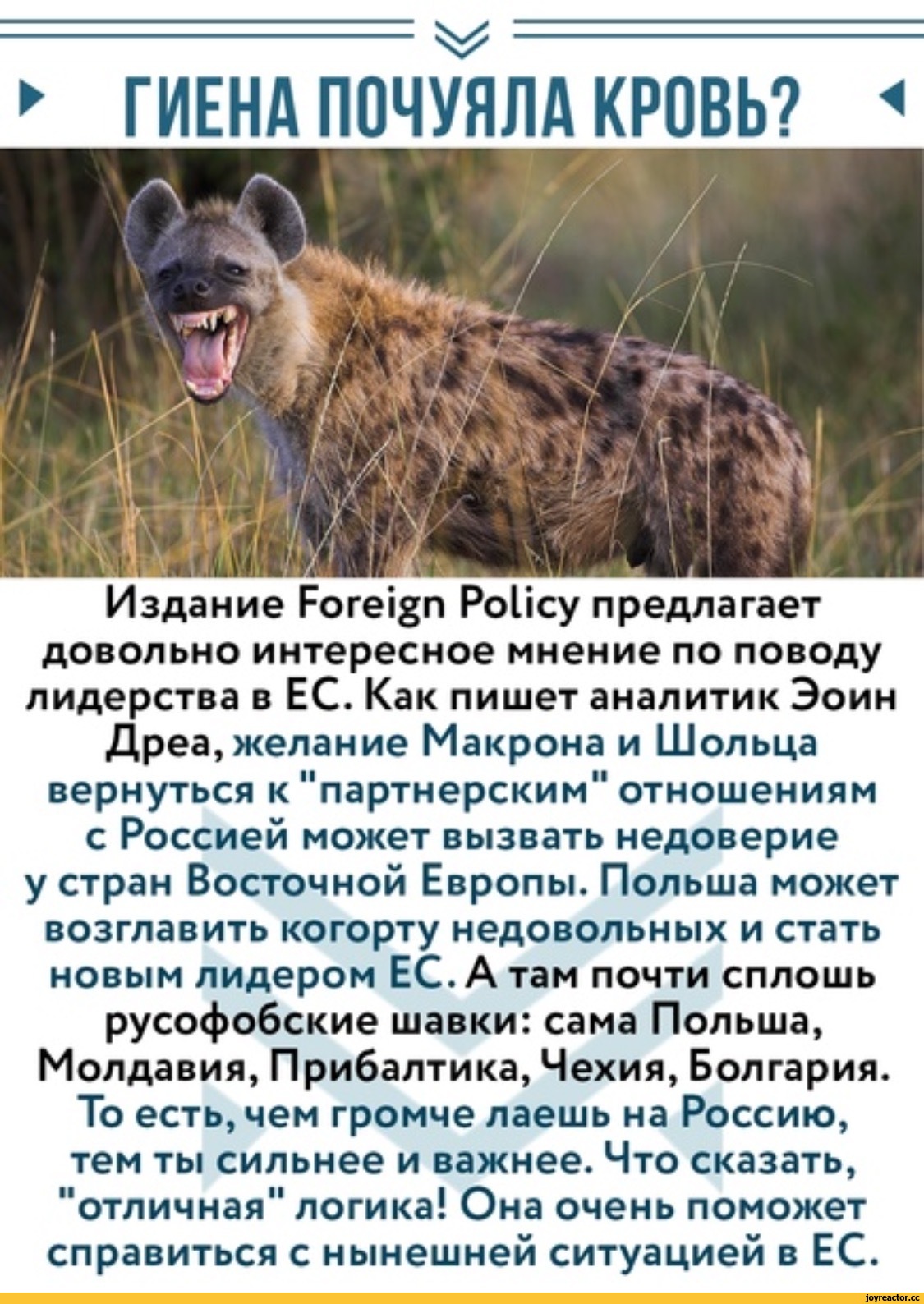 Post Image