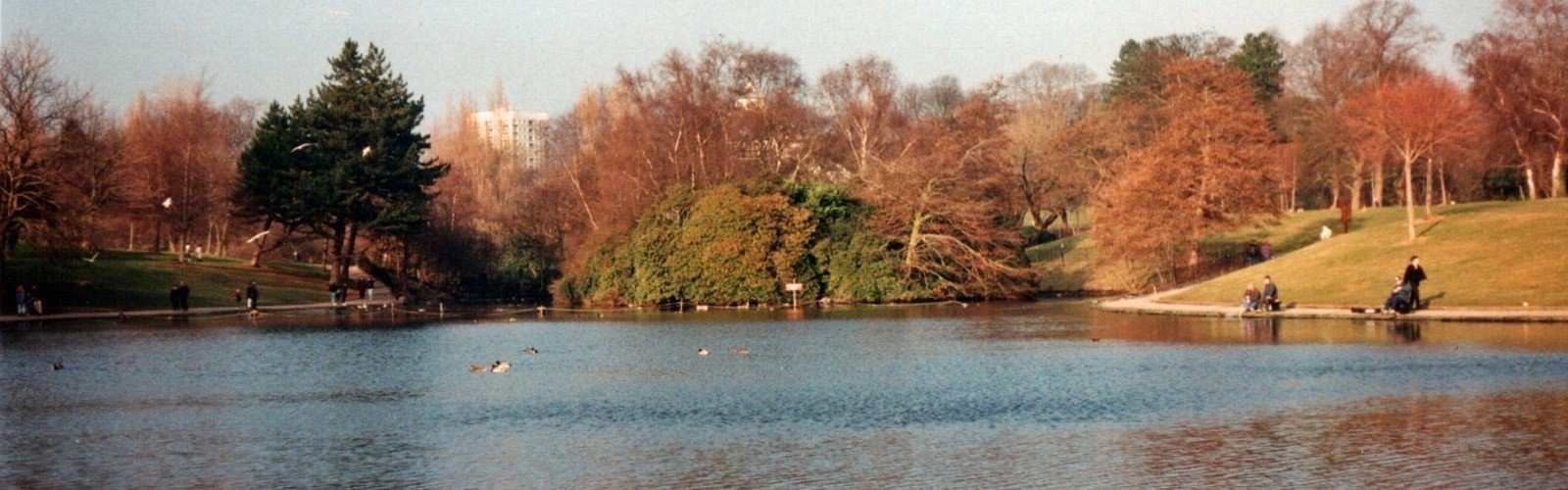 Post Image
