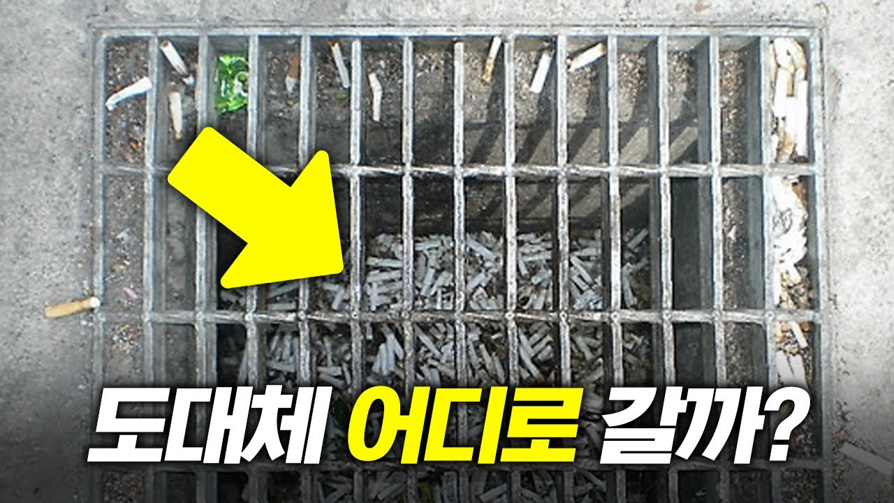 쓰레기에서 건진 해리포터 1쇄, 3800만원의 가치로 인정받다 쓰레기에서 건진 해리포터 1쇄, 3800만원의 가치로 인정받다