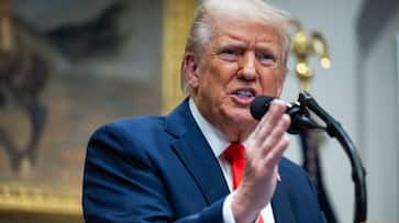 $101 Million In DEI Programs And $8 Million On Transgender Mice: Musk's Efficiency Drive Under Trump's Spotlight $101 Million In DEI Programs And $8 Million On Transgender Mice: Musk's Efficiency Drive Under Trump's Spotlight