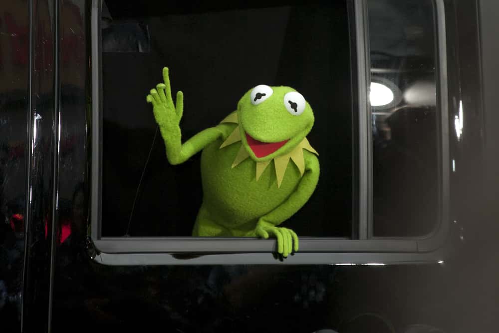 2025 Graduation: Kermit The Frog Speaks At University Of Maryland 2025 Graduation: Kermit The Frog Speaks At University Of Maryland