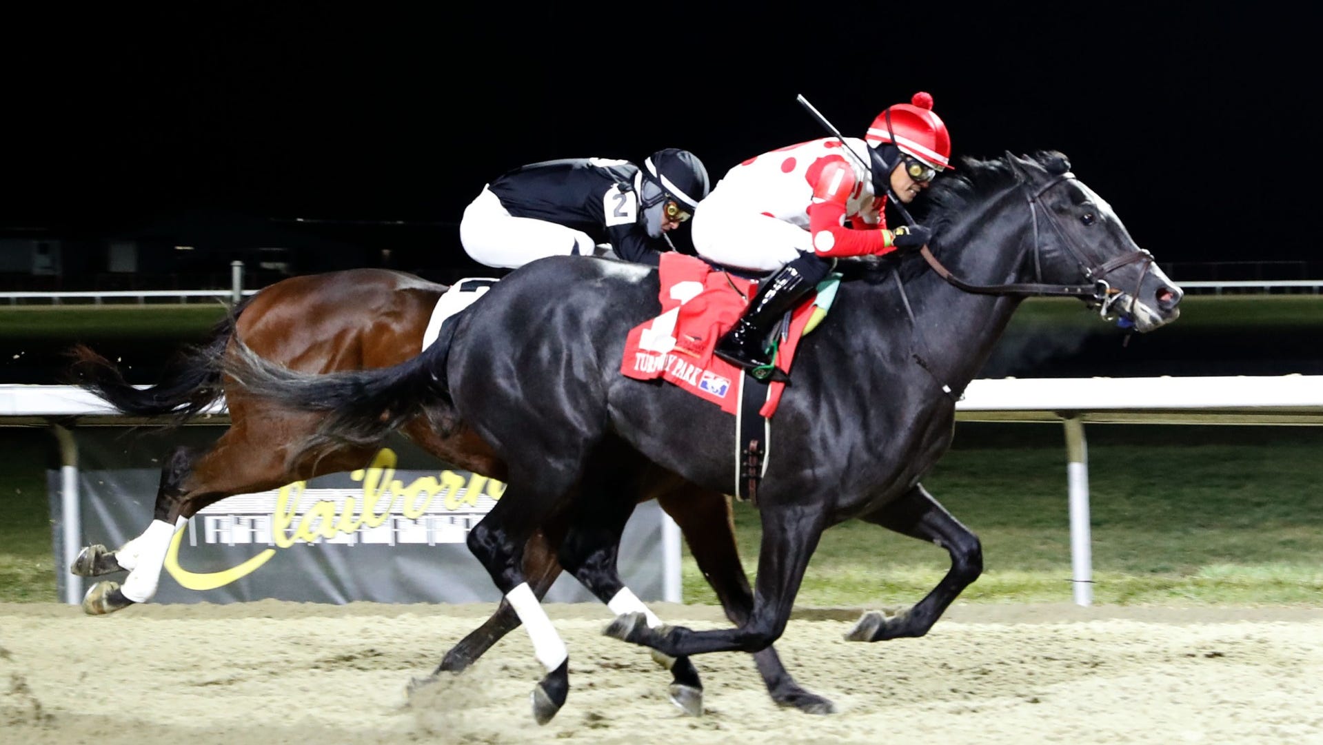 2025 Kentucky Derby: Chunk Of Gold Horse Profile And Betting Odds 2025 Kentucky Derby: Chunk Of Gold Horse Profile And Betting Odds