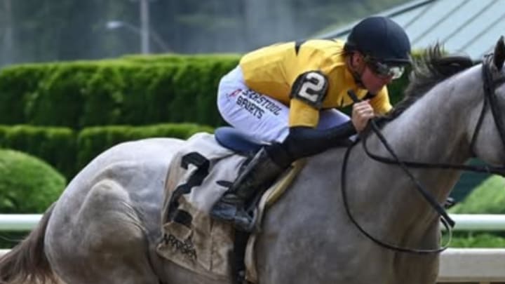 2025 Kentucky Derby Horse Profile: Betting Outlook For Chunk Of Gold 2025 Kentucky Derby Horse Profile: Betting Outlook For Chunk Of Gold