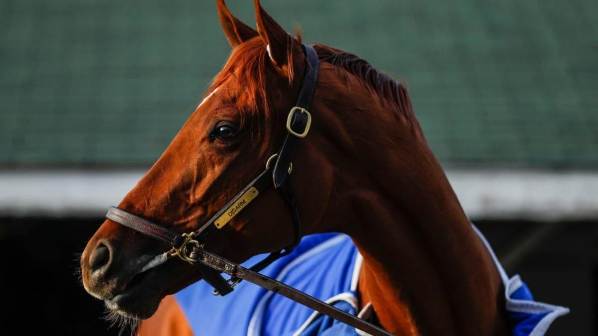 2025 Louisiana Derby: A Complete Guide To Odds, Contenders & Kentucky Derby Prep 2025 Louisiana Derby: A Complete Guide To Odds, Contenders & Kentucky Derby Prep