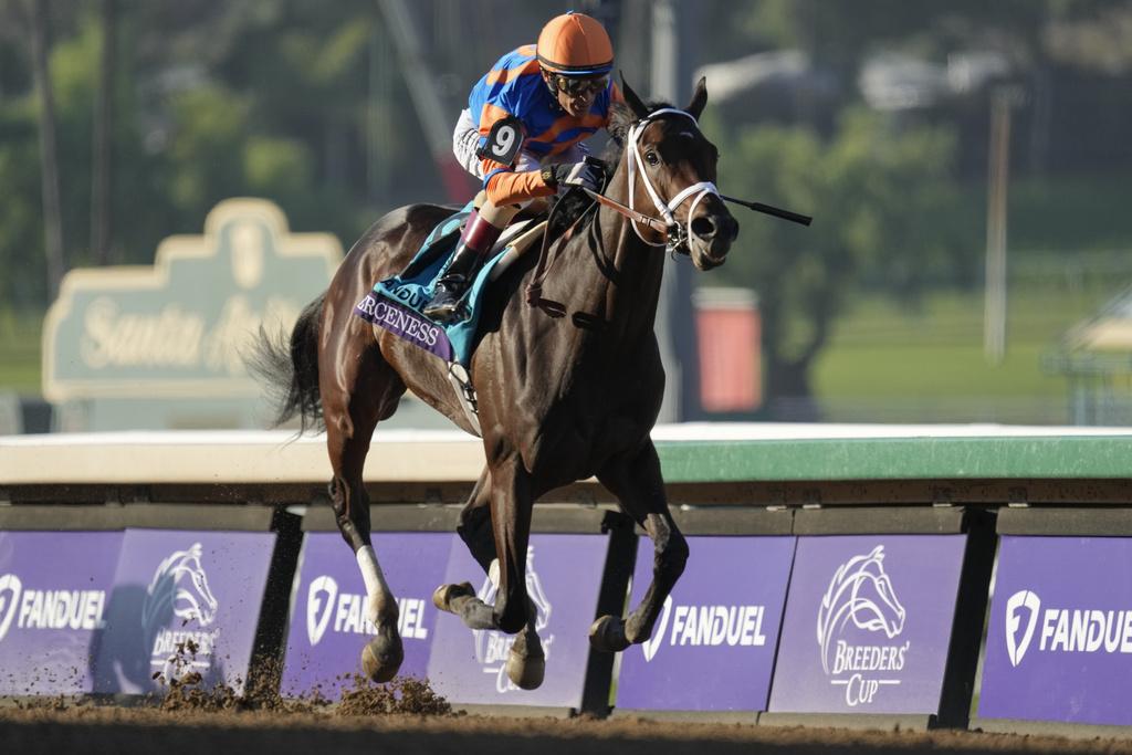 2025 Tampa Bay Derby: A Guide To Odds, Field, And Kentucky Derby Implications 2025 Tampa Bay Derby: A Guide To Odds, Field, And Kentucky Derby Implications