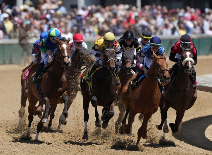 2025 Tampa Bay Derby: Expert Predictions, Odds, And Potential Kentucky Derby Contenders 2025 Tampa Bay Derby: Expert Predictions, Odds, And Potential Kentucky Derby Contenders