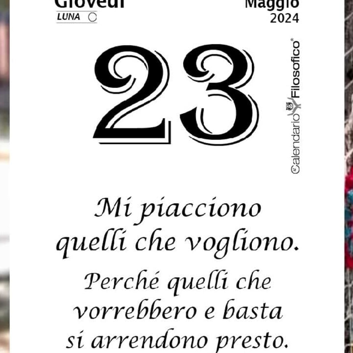 23 Marzo: Almanacco Della Giornata - Santo, Proverbio E Compleanni 23 Marzo: Almanacco Della Giornata - Santo, Proverbio E Compleanni