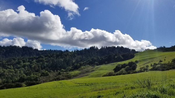 79-Year-Old Woman Missing In Portola Valley Preserve: Ongoing Search 79-Year-Old Woman Missing In Portola Valley Preserve: Ongoing Search