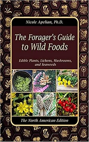 A Forager's Guide: Identifying And Roasting The Carrot's Wild Cousin A Forager's Guide: Identifying And Roasting The Carrot's Wild Cousin