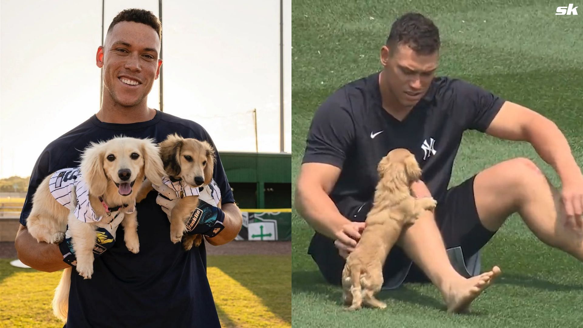 Aaron Judge's 2025 Push-Up Goal: What It Means For The Yankees Aaron Judge's 2025 Push-Up Goal: What It Means For The Yankees
