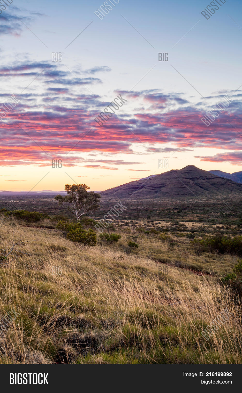 Addressing Concerns: Rio Tinto's Response To Criticism Over Pilbara Operations Addressing Concerns: Rio Tinto's Response To Criticism Over Pilbara Operations
