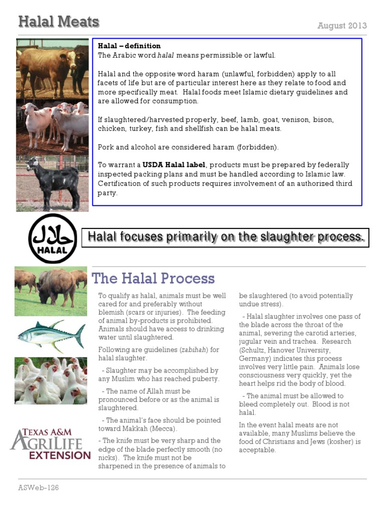 Addressing The Ethical Concerns Of Halal Slaughter For Vegans Addressing The Ethical Concerns Of Halal Slaughter For Vegans