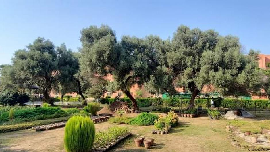 احتساب عدالتوں کا خاتمہ: وفاقی حکومت کا فیصلہ اور اس کے اثرات احتساب عدالتوں کا خاتمہ: وفاقی حکومت کا فیصلہ اور اس کے اثرات