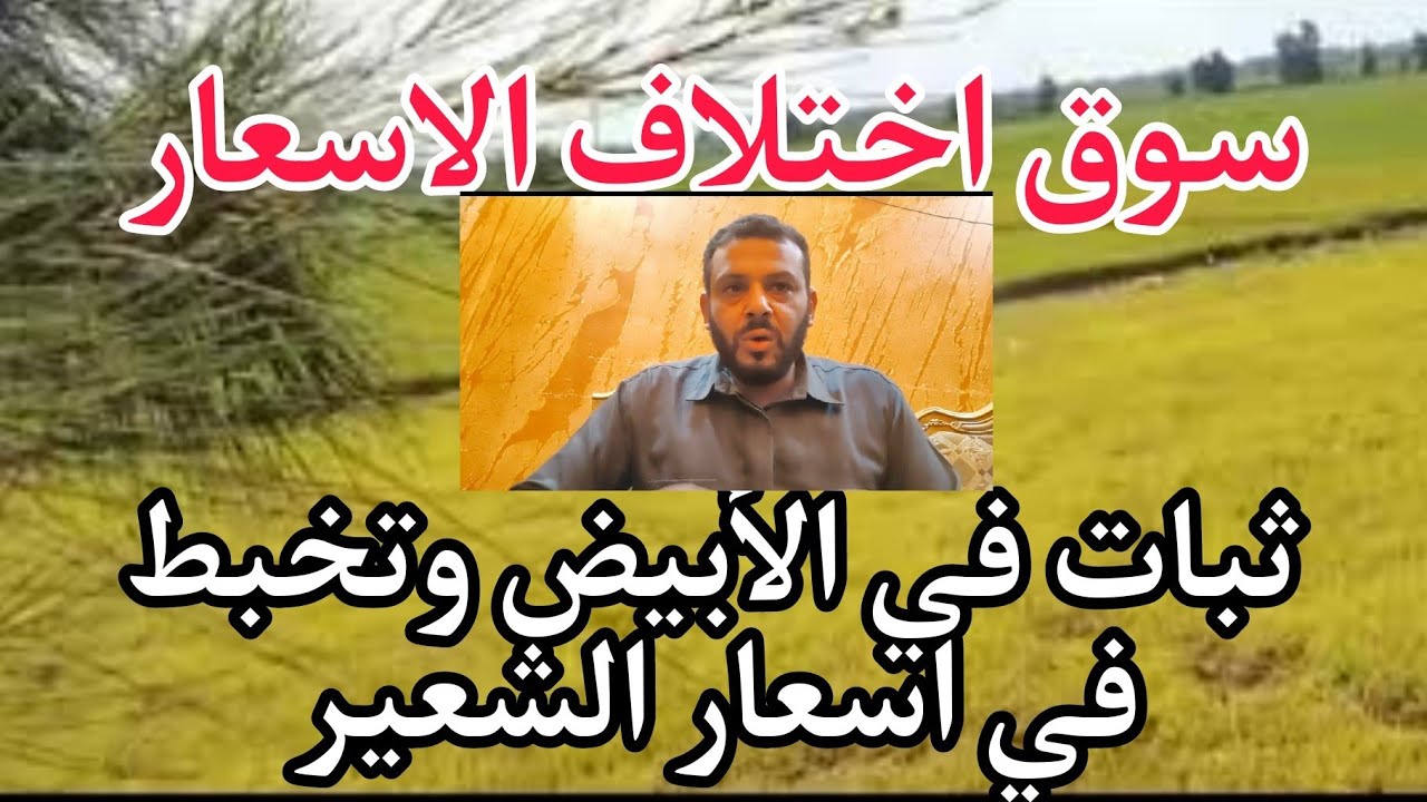 آخر تحديث لأسعار الذهب في قطر، الإثنين 24 مارس آخر تحديث لأسعار الذهب في قطر، الإثنين 24 مارس