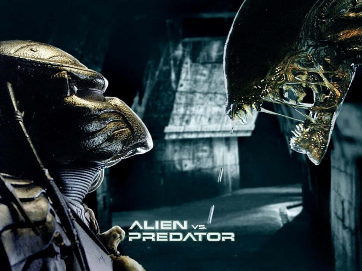 Alien: Earth Teaser: Analyzing The Alien Vs. Predator Clues Alien: Earth Teaser: Analyzing The Alien Vs. Predator Clues