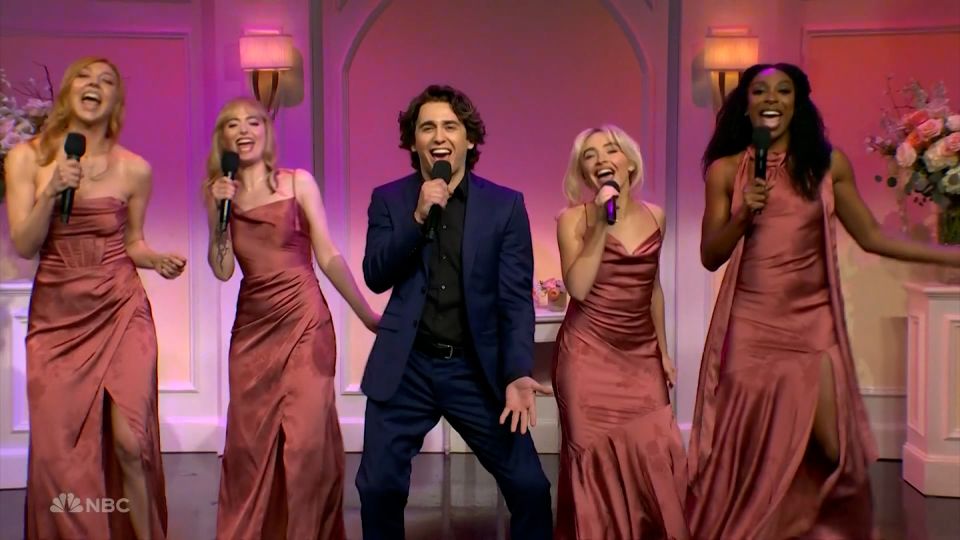 Analyzing Marcello Hernandez's SNL Sketch: The Suitcase Dog Analyzing Marcello Hernandez's SNL Sketch: The Suitcase Dog