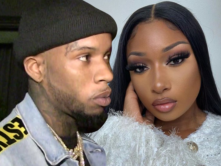 Analyzing The Meg Thee Stallion Case: A Hypothetical Chicago Outcome Analyzing The Meg Thee Stallion Case: A Hypothetical Chicago Outcome