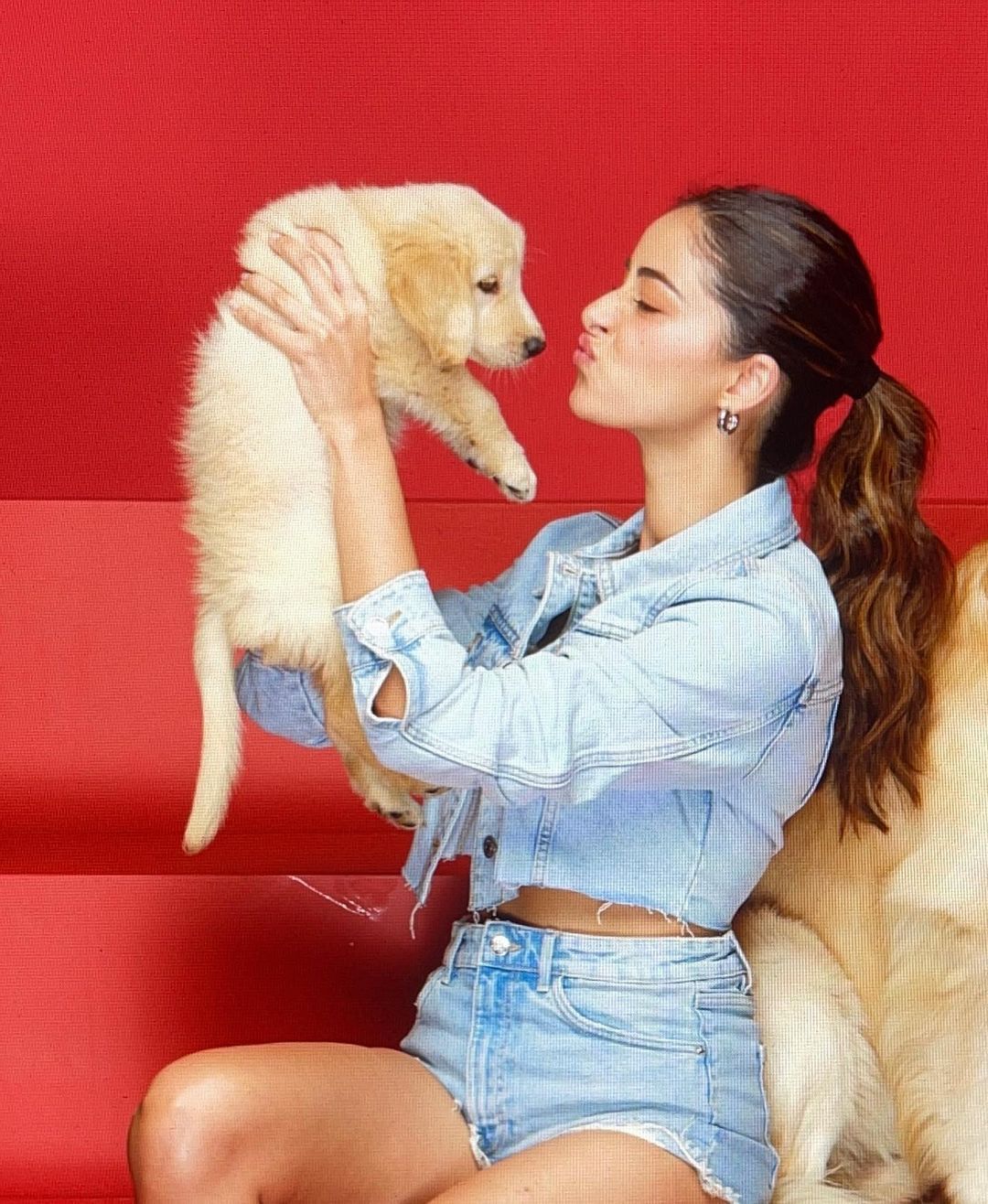 Ananya Panday's Pet Dog Riot Turns One: A Paw-some Birthday Celebration Ananya Panday's Pet Dog Riot Turns One: A Paw-some Birthday Celebration