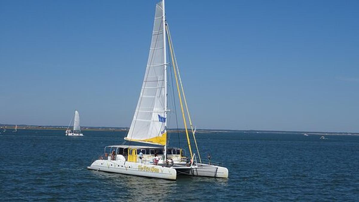 Arcachon : Le Tip Top One Fête Ses 22 Ans Sur Le Bassin Arcachon : Le Tip Top One Fête Ses 22 Ans Sur Le Bassin