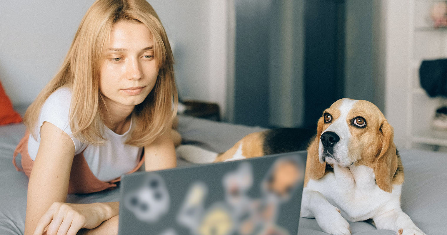 Are Corporate Targets To Blame For Rising UK Pet Vet Bills? A Growing Concern Are Corporate Targets To Blame For Rising UK Pet Vet Bills? A Growing Concern