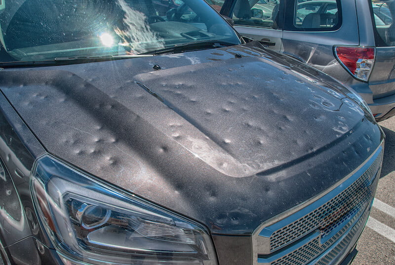 Assess And Repair: Hail Damage To Pools And Gardens Assess And Repair: Hail Damage To Pools And Gardens