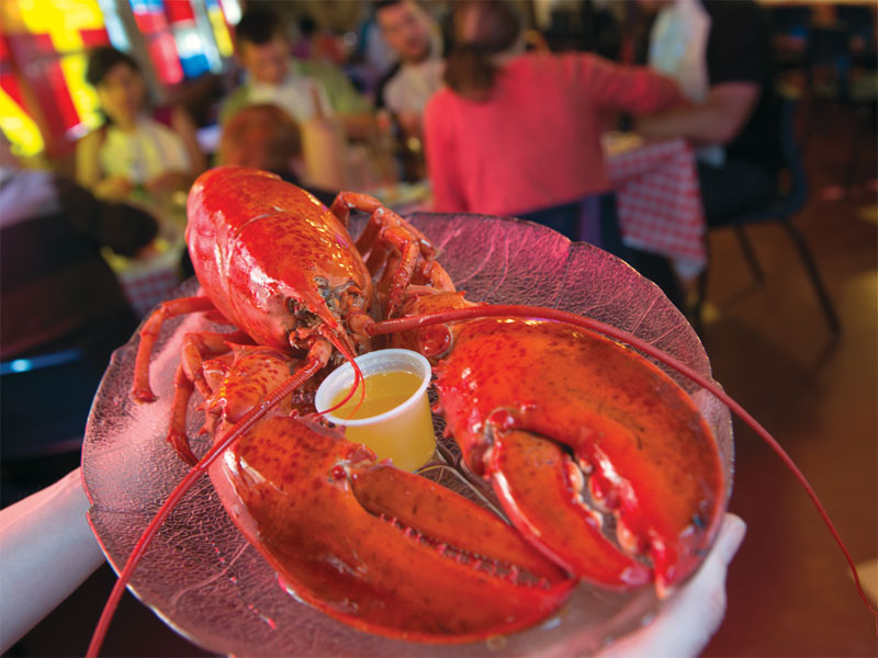 Atlantic Canada Lobster Industry Faces Crisis: Low Prices And Global Economic Headwinds Atlantic Canada Lobster Industry Faces Crisis: Low Prices And Global Economic Headwinds