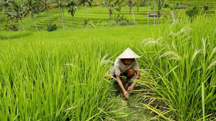 Bali Hadapi Krisis Infrastruktur Jalan Raya, Kata Surya Paloh Bali Hadapi Krisis Infrastruktur Jalan Raya, Kata Surya Paloh