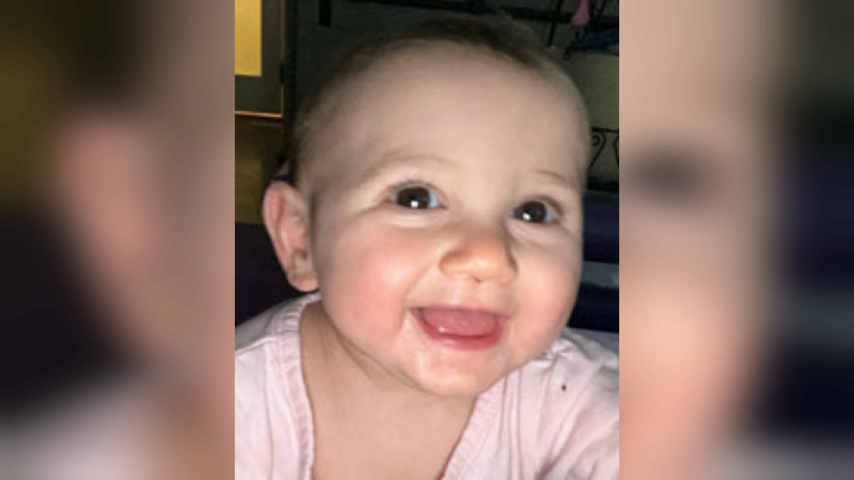 Biological Parents Arrested Following Dalfsen Amber Alert Child Rescue Biological Parents Arrested Following Dalfsen Amber Alert Child Rescue