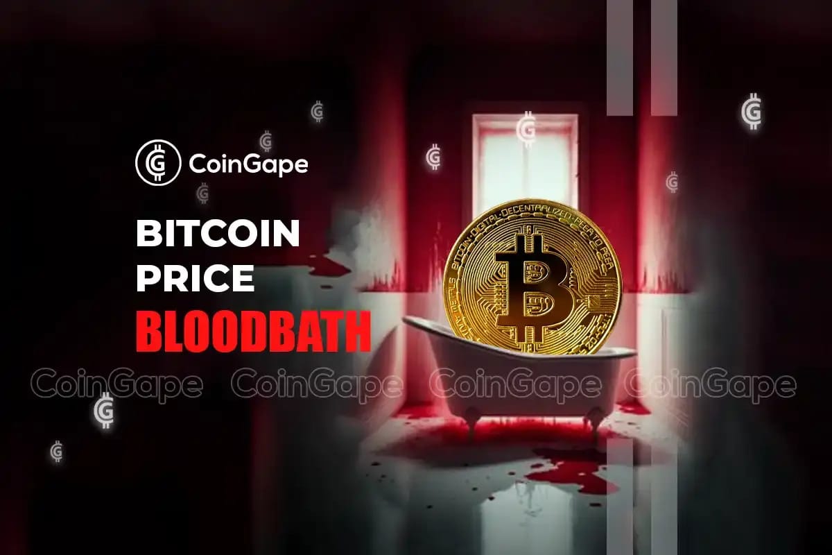 Bitcoin Rebound: Understanding The Factors Driving The Price Increase Bitcoin Rebound: Understanding The Factors Driving The Price Increase