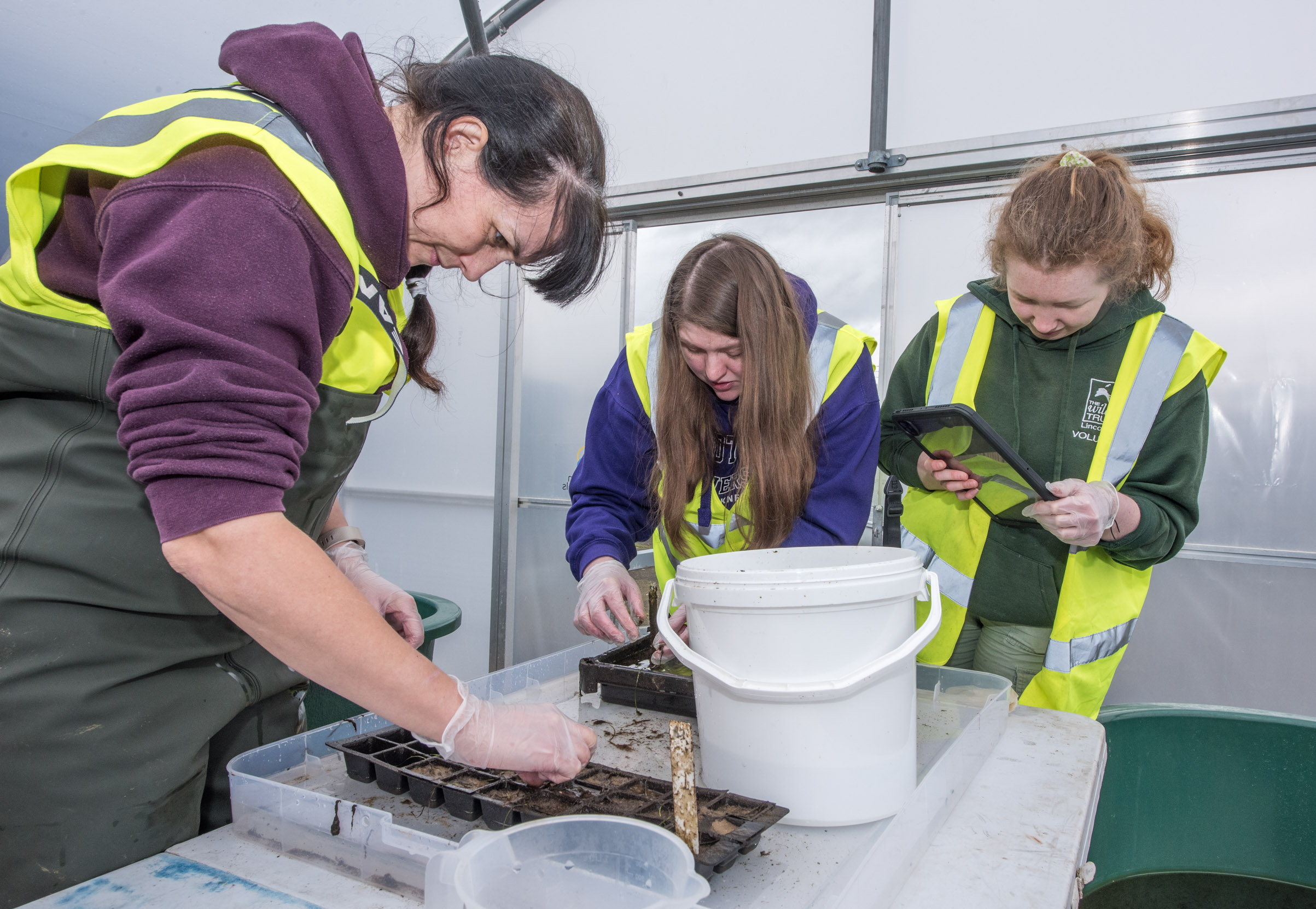 Boosting Scotland's Coastline: A Look At Seagrass Planting Initiatives Boosting Scotland's Coastline: A Look At Seagrass Planting Initiatives