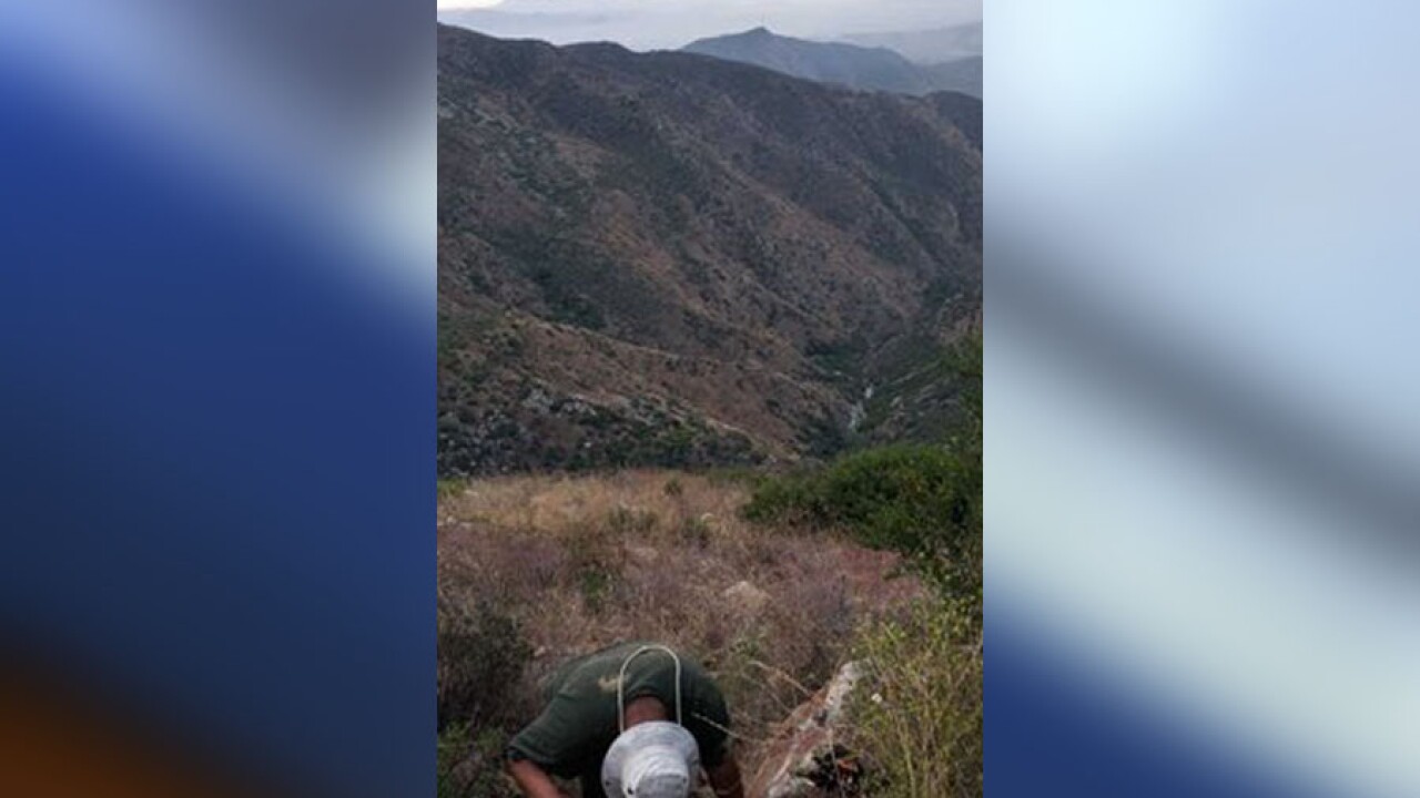 Border Patrol's Otay Mountain Rescue: Saving Two Lost Hikers Border Patrol's Otay Mountain Rescue: Saving Two Lost Hikers