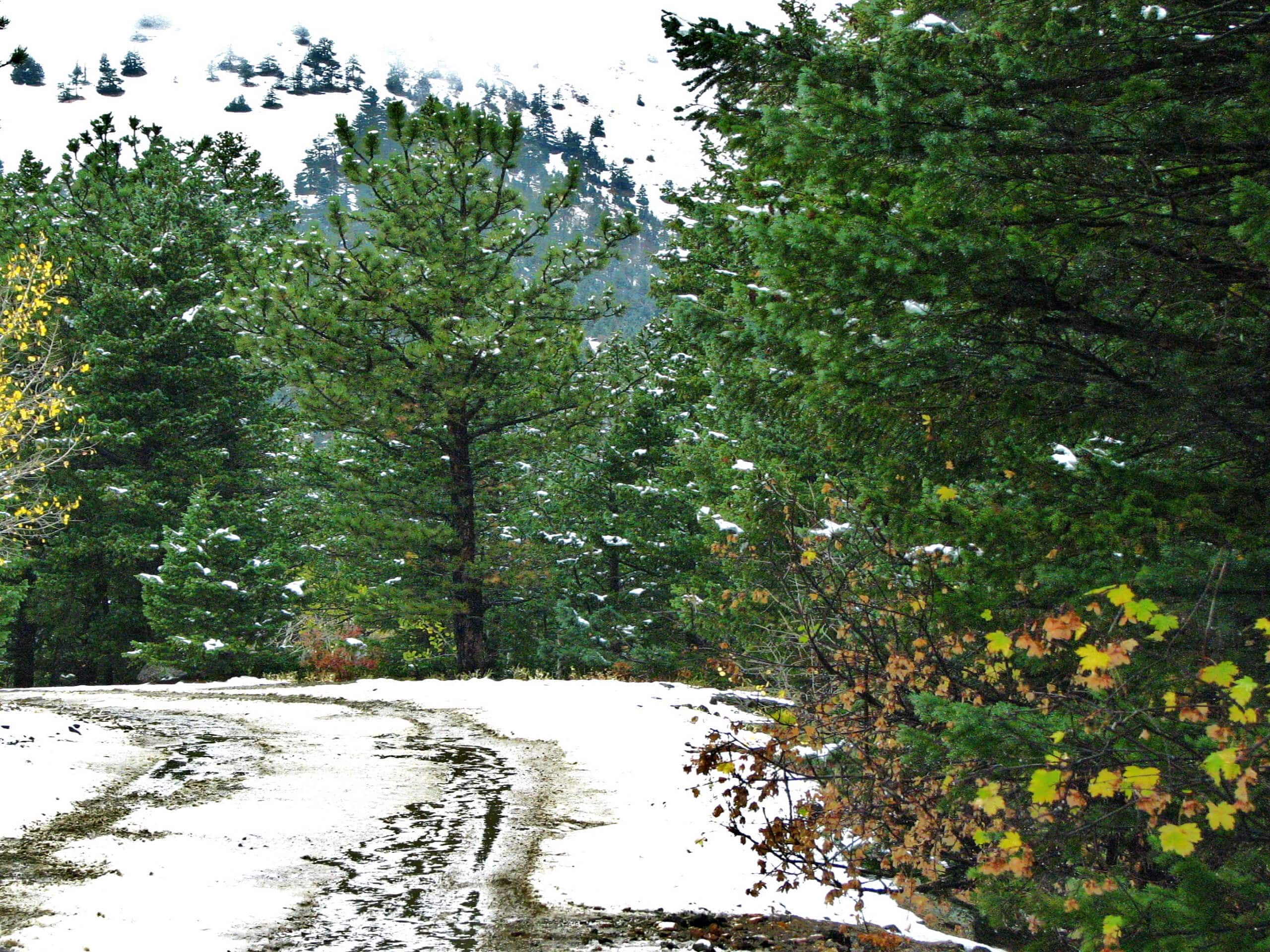 Boulder County's Switzerland Trail: Past, Present, And Mining's Impact Boulder County's Switzerland Trail: Past, Present, And Mining's Impact