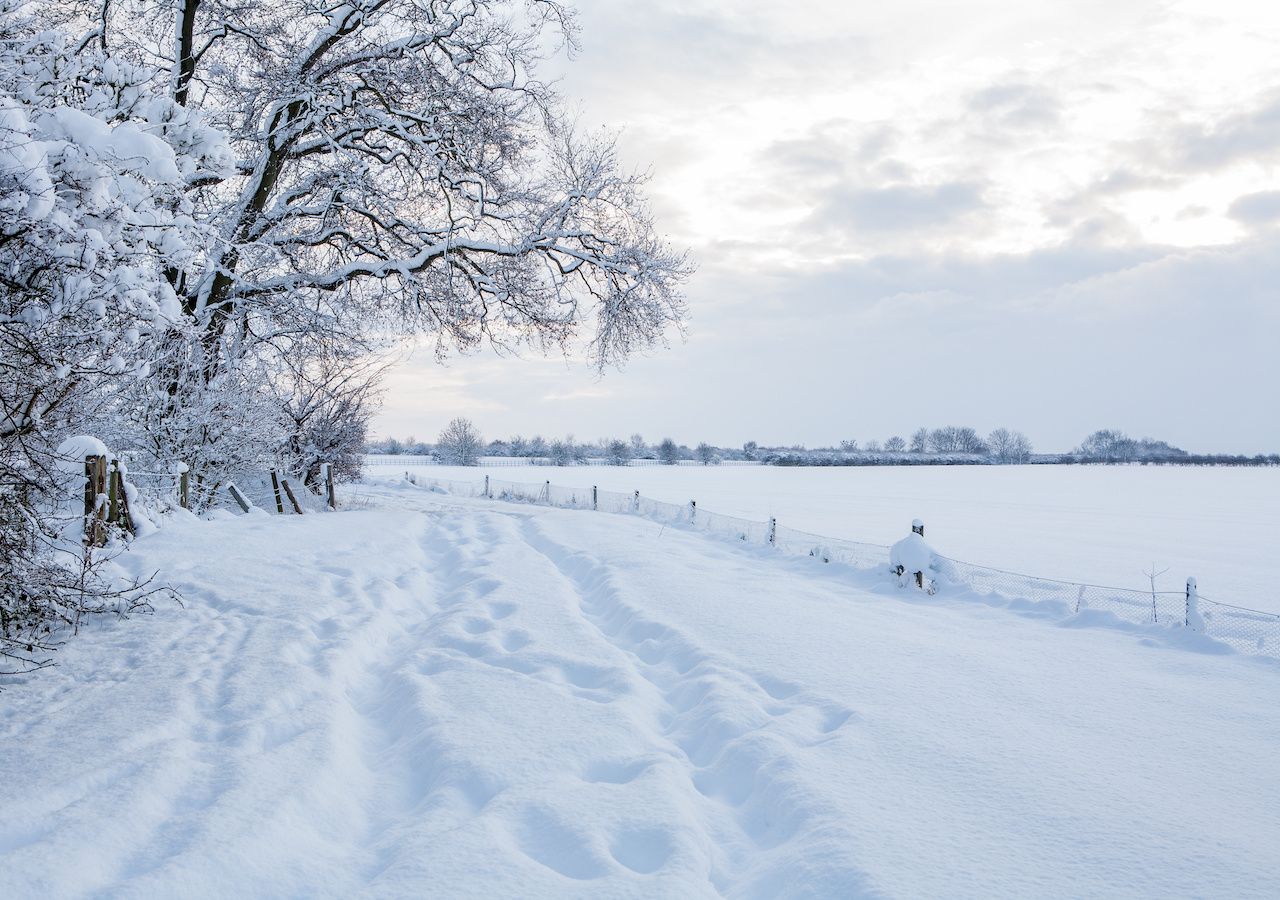 Brace For Impact: Four Inches Of Snow And Bitterly Cold Temperatures Tuesday Brace For Impact: Four Inches Of Snow And Bitterly Cold Temperatures Tuesday