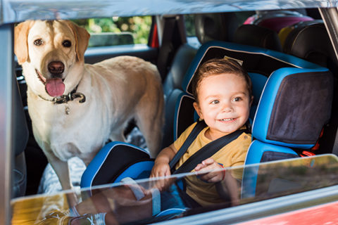 Bringing Your Pet Along: Uber's Mumbai Pet Travel Policy Explained Bringing Your Pet Along: Uber's Mumbai Pet Travel Policy Explained