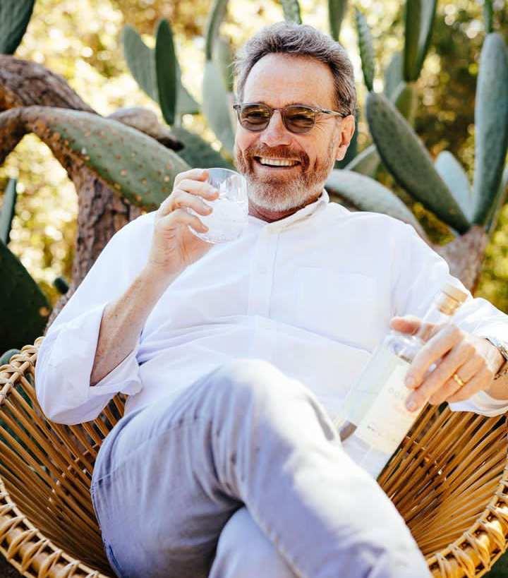 Bryan Cranston's Net Worth: 2025 Predictions And Financial Overview Bryan Cranston's Net Worth: 2025 Predictions And Financial Overview
