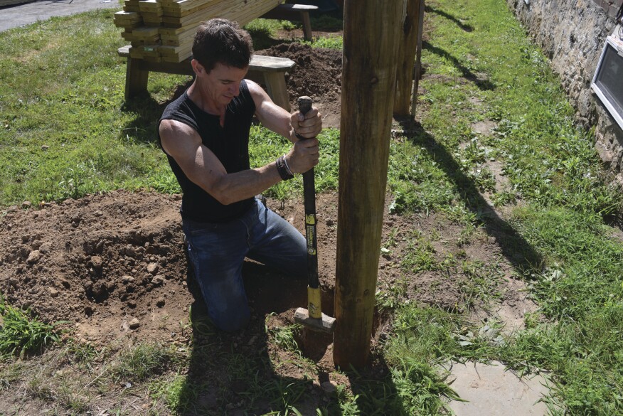 Building A Beautiful And Functional Living Fence Building A Beautiful And Functional Living Fence