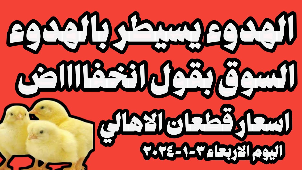 بيان أسعار الكتاكيت في مصر: الاثنين 14 أبريل 2025 بيان أسعار الكتاكيت في مصر: الاثنين 14 أبريل 2025