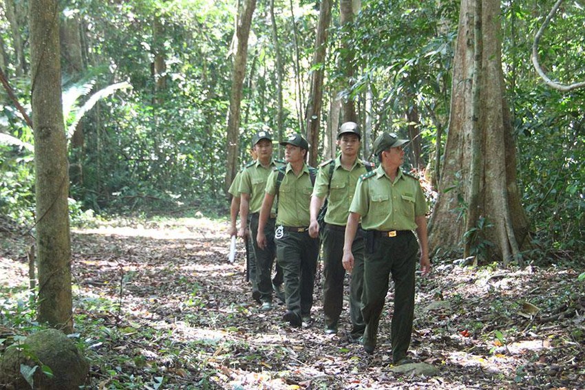 Cầu Mã Đà - Đồng Nai - Bình Phước: Tiến Độ Dự Án Và Kế Hoạch Khởi Công Tháng 6 Cầu Mã Đà - Đồng Nai - Bình Phước: Tiến Độ Dự Án Và Kế Hoạch Khởi Công Tháng 6