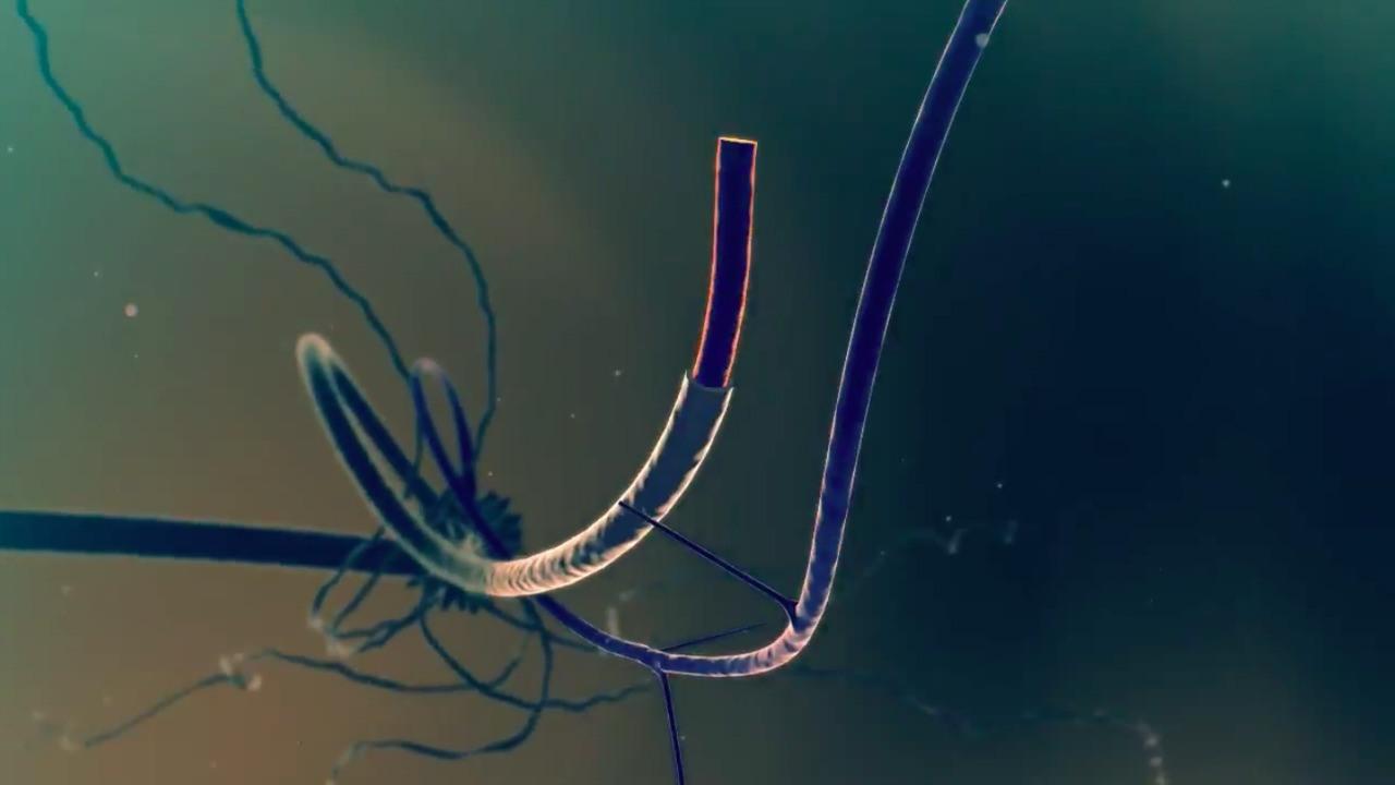 CayFest's Splice: A Cinematic Exploration