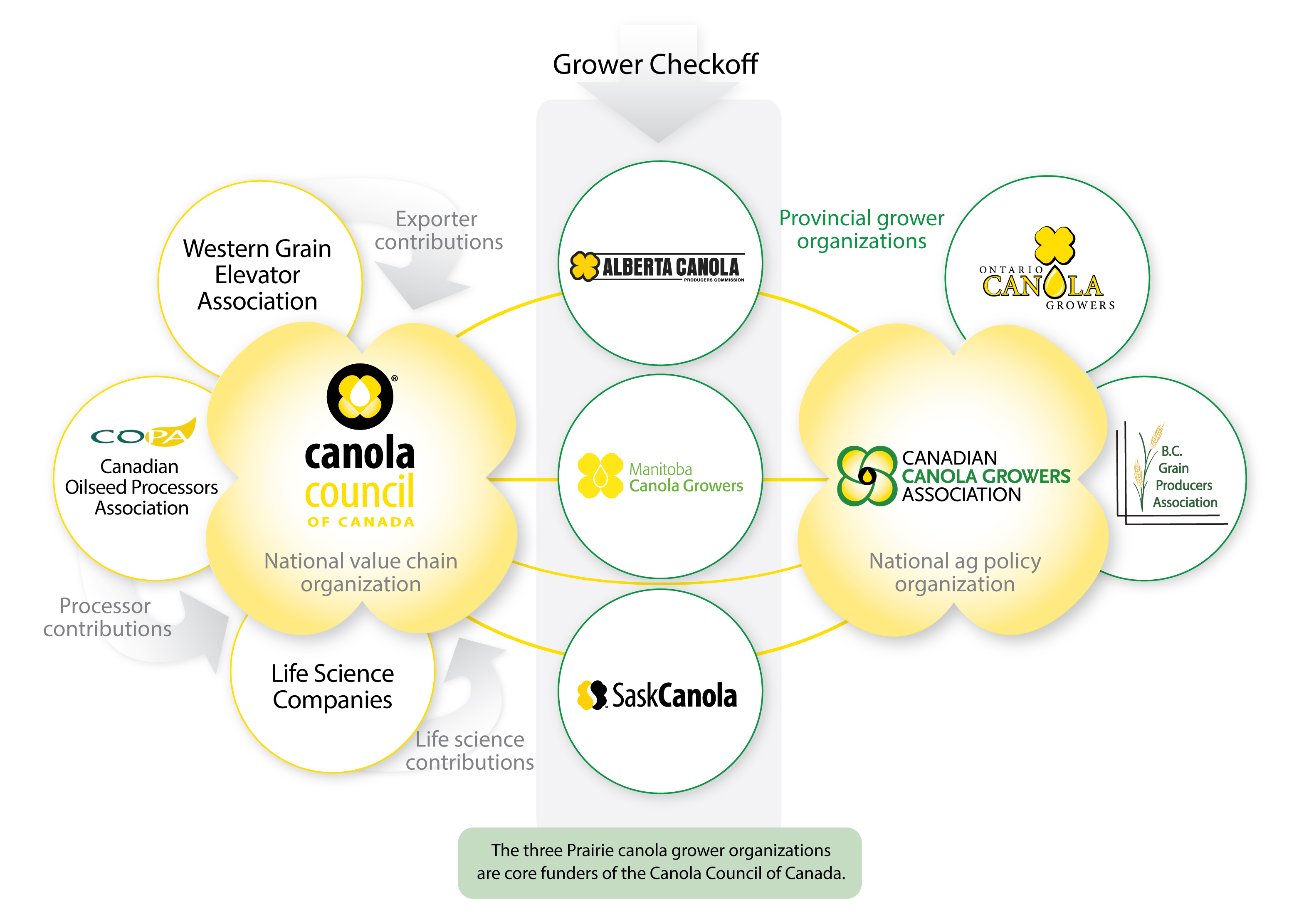 China's Canola Supply Chain: Adapting To The Canada Break China's Canola Supply Chain: Adapting To The Canada Break
