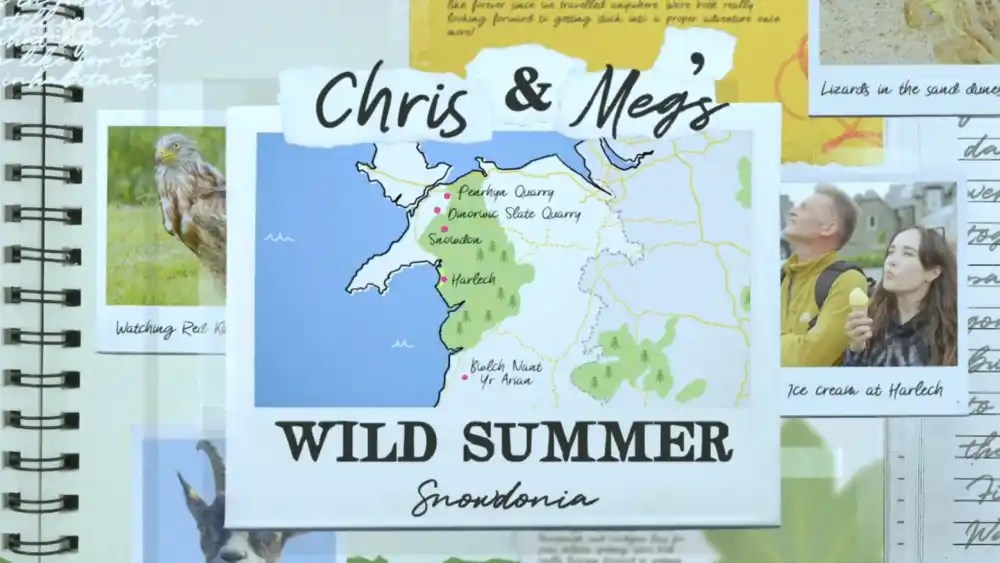 Chris And Meg's Summer Of Wild Experiences