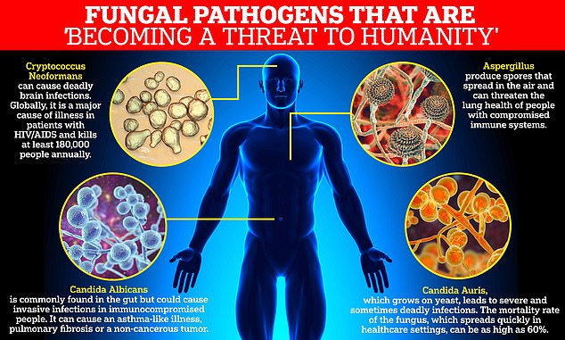 Climate Change And The Rise Of Deadly Fungi: A Growing Threat Climate Change And The Rise Of Deadly Fungi: A Growing Threat