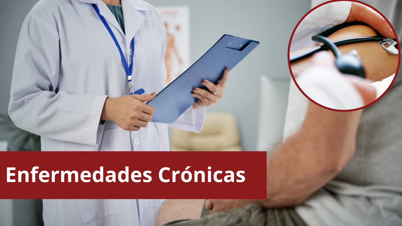 Combate Las Enfermedades Crónicas: El Superalimento Que Supera Al Arándano Combate Las Enfermedades Crónicas: El Superalimento Que Supera Al Arándano