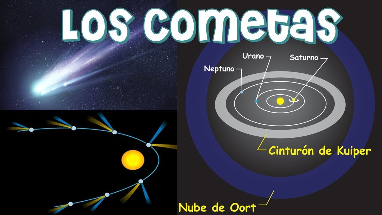 Cómo Evitar Que Un Tonto Cometa Una Estupidez: Afilar La Guillotina Cómo Evitar Que Un Tonto Cometa Una Estupidez: Afilar La Guillotina