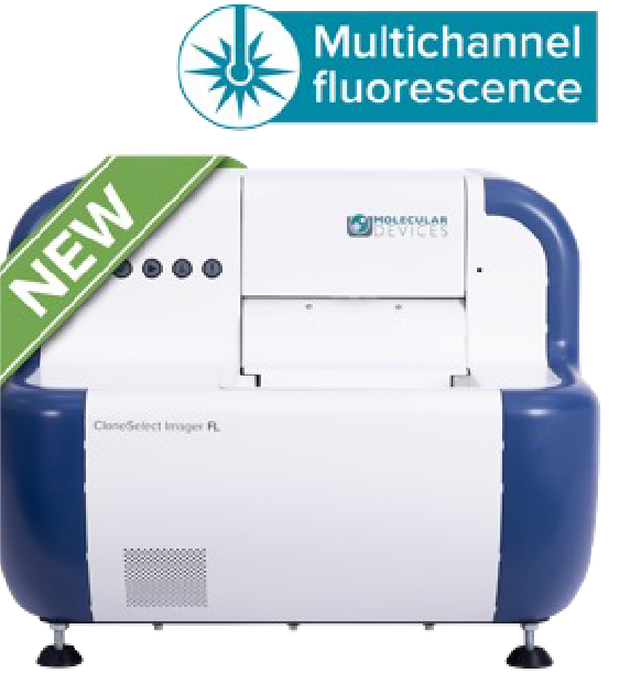 Complete Gene Insertion With Advanced Gene Editing Tools Complete Gene Insertion With Advanced Gene Editing Tools