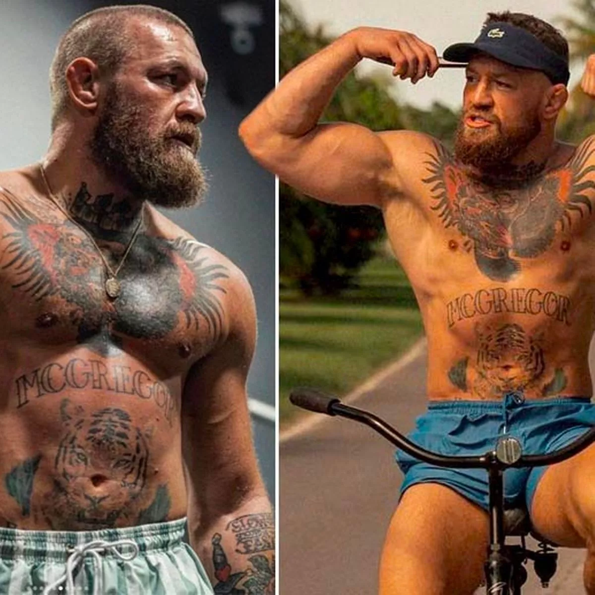 Conor McGregor's Latest Fox News Appearance: What Happened? Conor McGregor's Latest Fox News Appearance: What Happened?