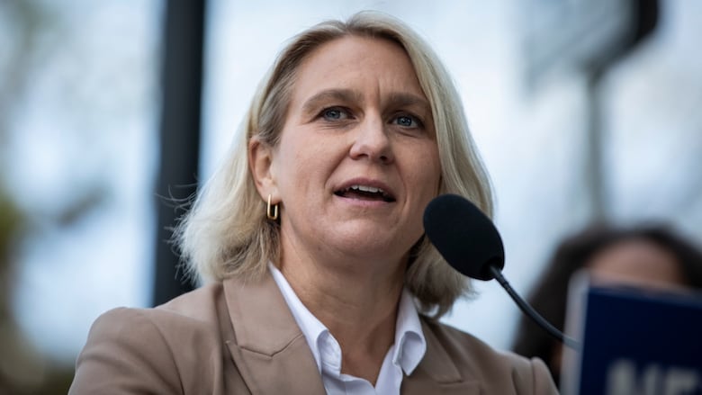 Conservative Party Rift Deepens: Anderson-Lowe Clash Exposes Internal Divisions Conservative Party Rift Deepens: Anderson-Lowe Clash Exposes Internal Divisions