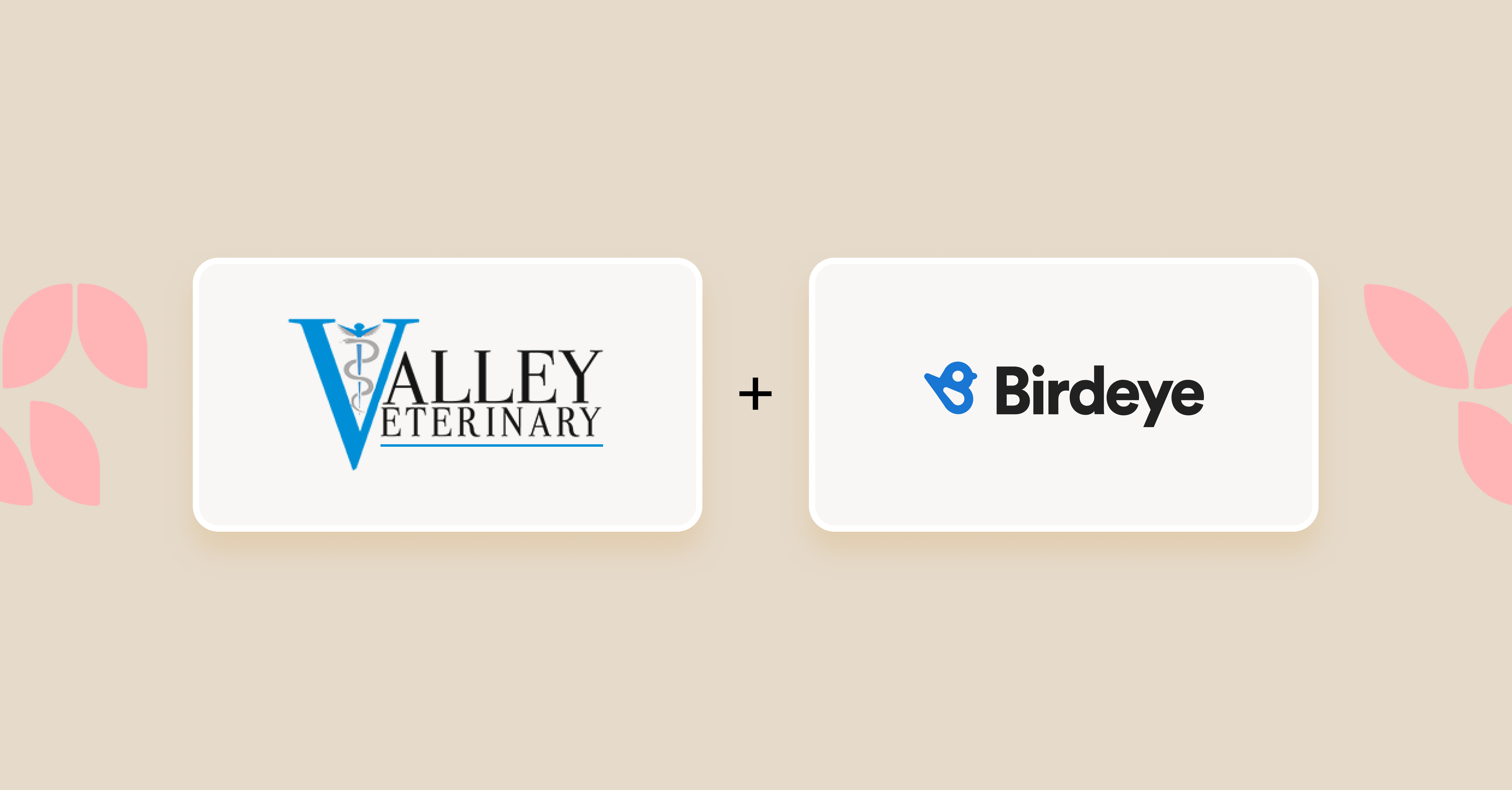 Could Price Caps And Comparison Websites Revolutionize Veterinary Care?  A Watchdog Perspective