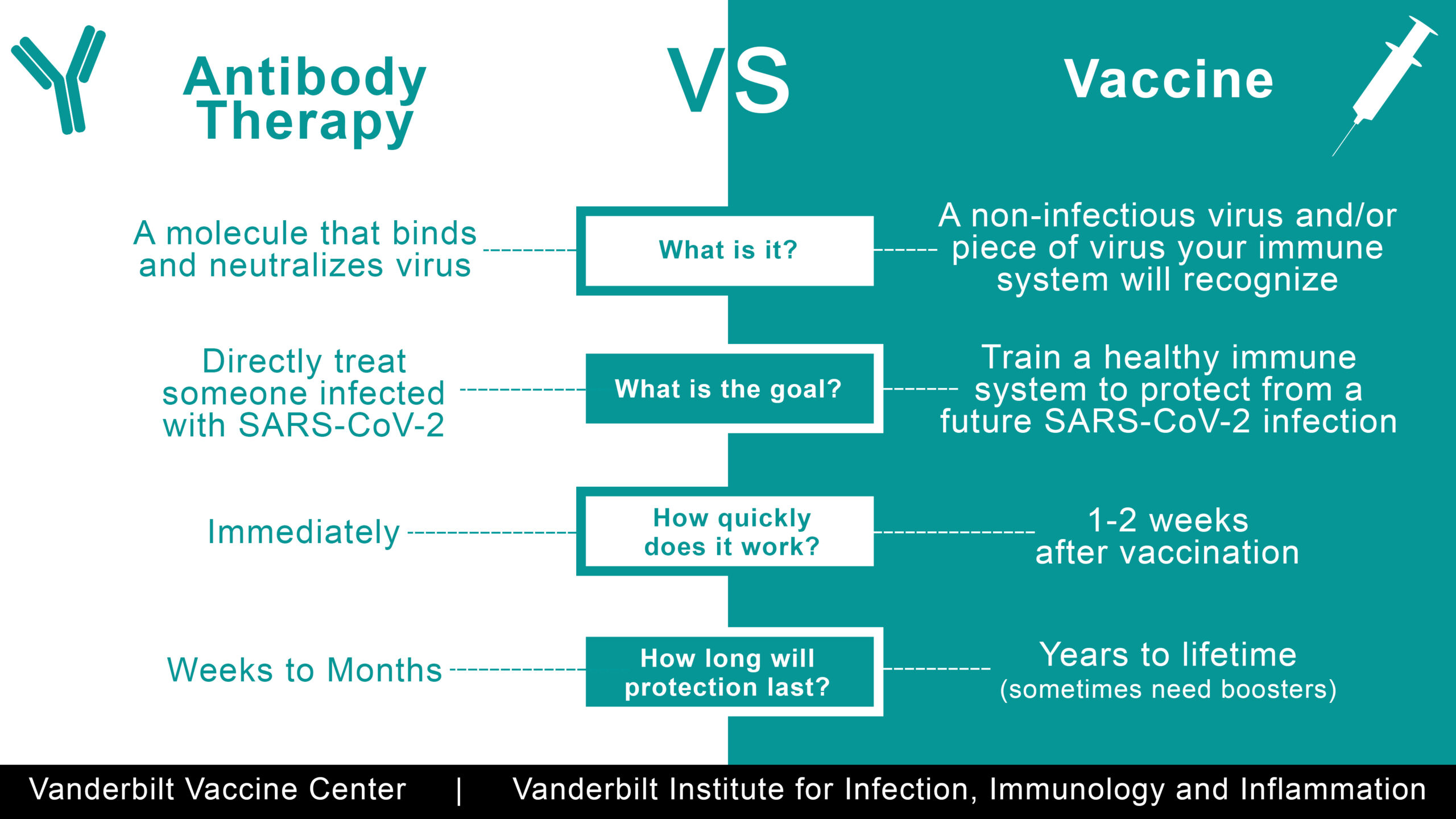 COVID-19 Vaccination: A Shield Against Long COVID? COVID-19 Vaccination: A Shield Against Long COVID?